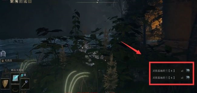 艾尔登法环墓地铃兰6在哪捡(墓地铃兰6获取方法)