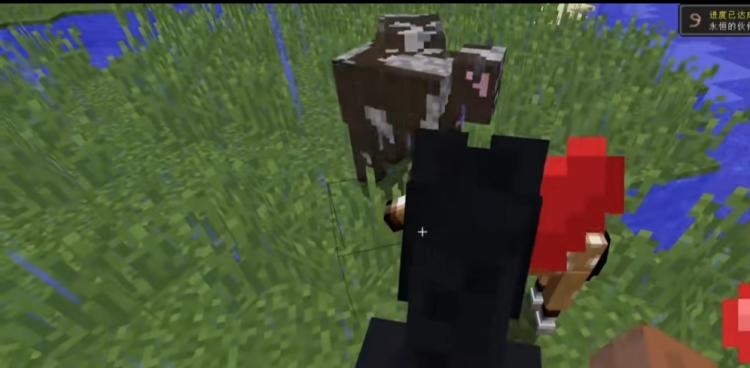 我的世界怎么驯服马（MC驯服马方法）