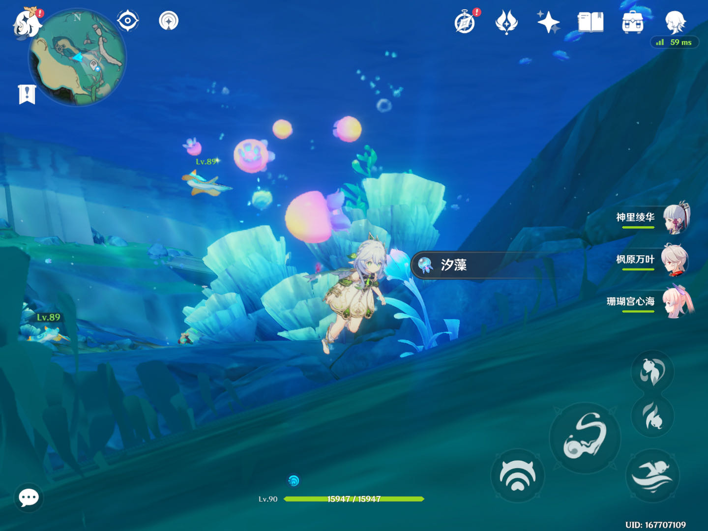 原神汐藻位置在哪?原神汐藻采集路线分布图