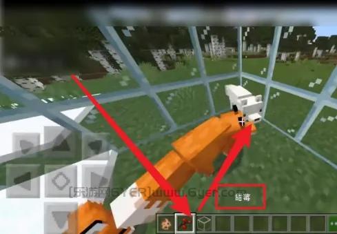 我的世界狐狸怎么驯服（冰原狐狸驯服方法）