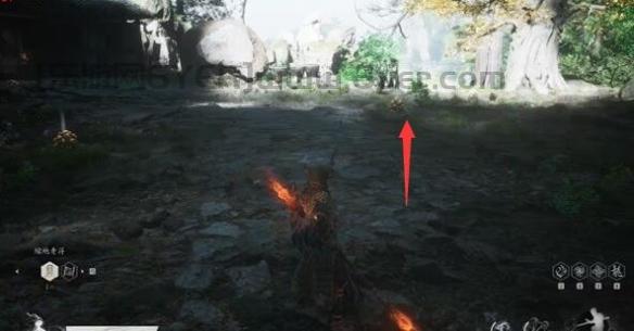 《黑神话悟空》猴头菌种子获取方法