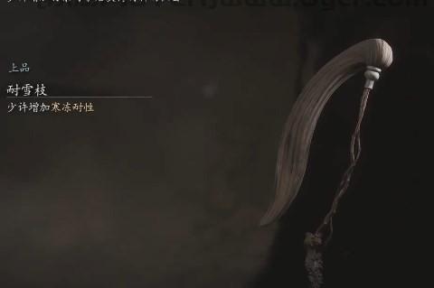 《黑神话：悟空》耐雪枝的效果