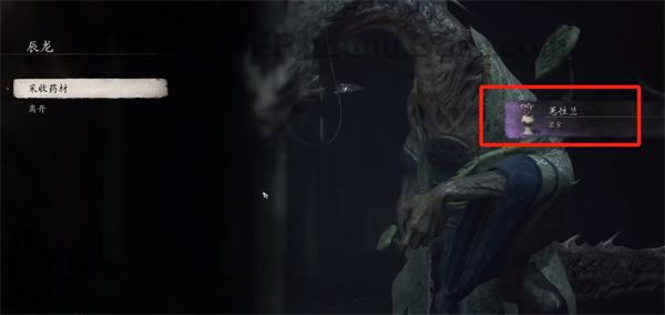 黑神话悟空慧性兰怎么获得 慧性兰泡酒物获取方法