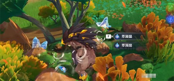 原神纳塔有几种龙 纳塔龙形态介绍