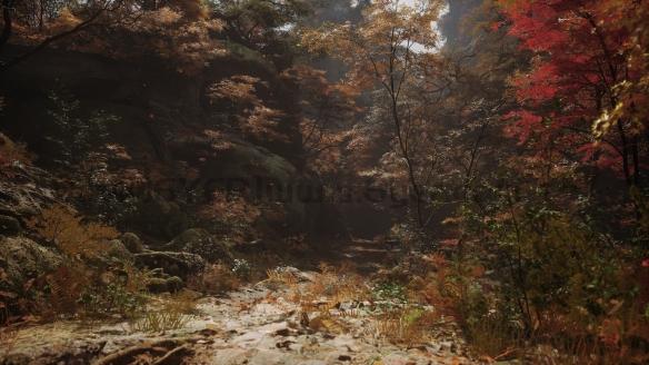 《黑神话悟空》Wegame回档问题介绍