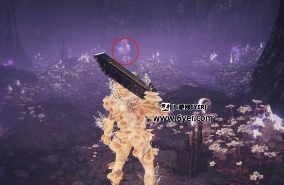 《艾尔登法环》dlc托莉娜的微笑护符获得方法